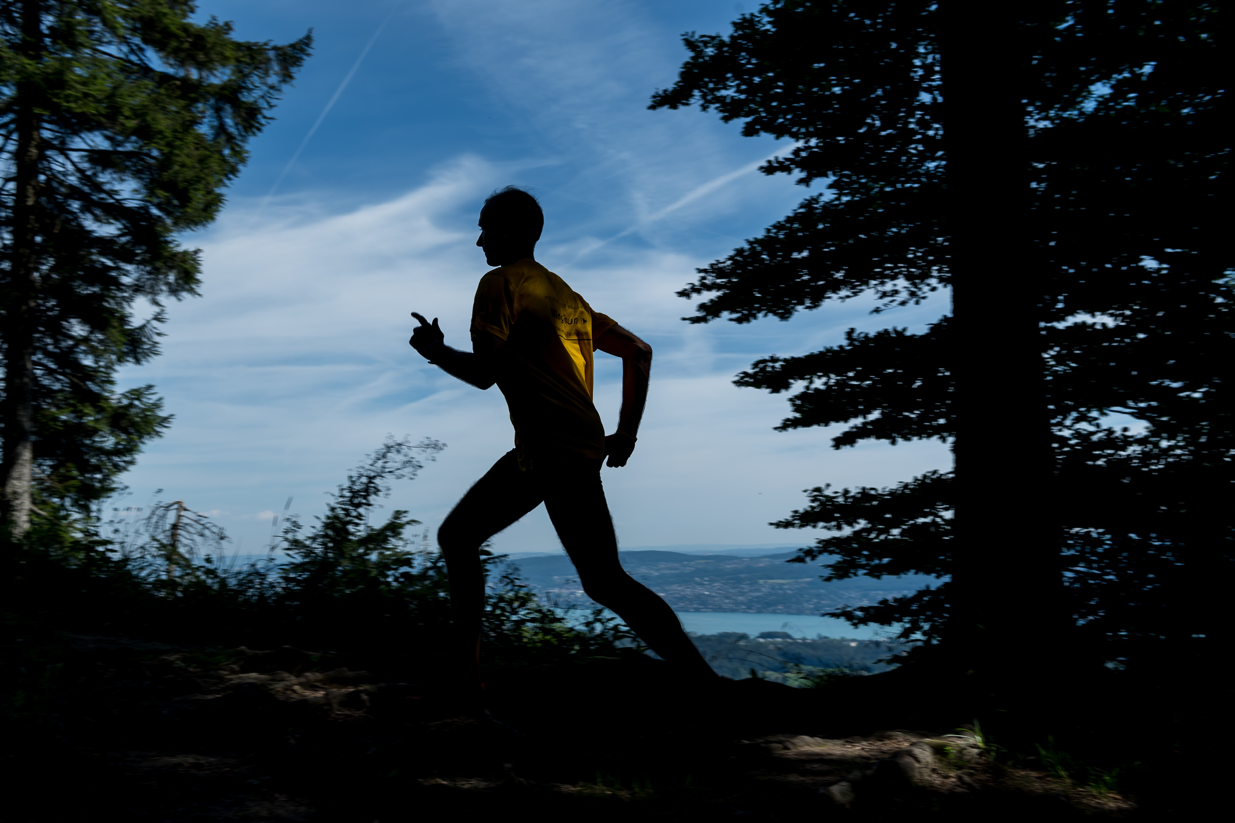 WingTsun-Running-Berglauf: Üetliberg - Bürglen - Sihlwald