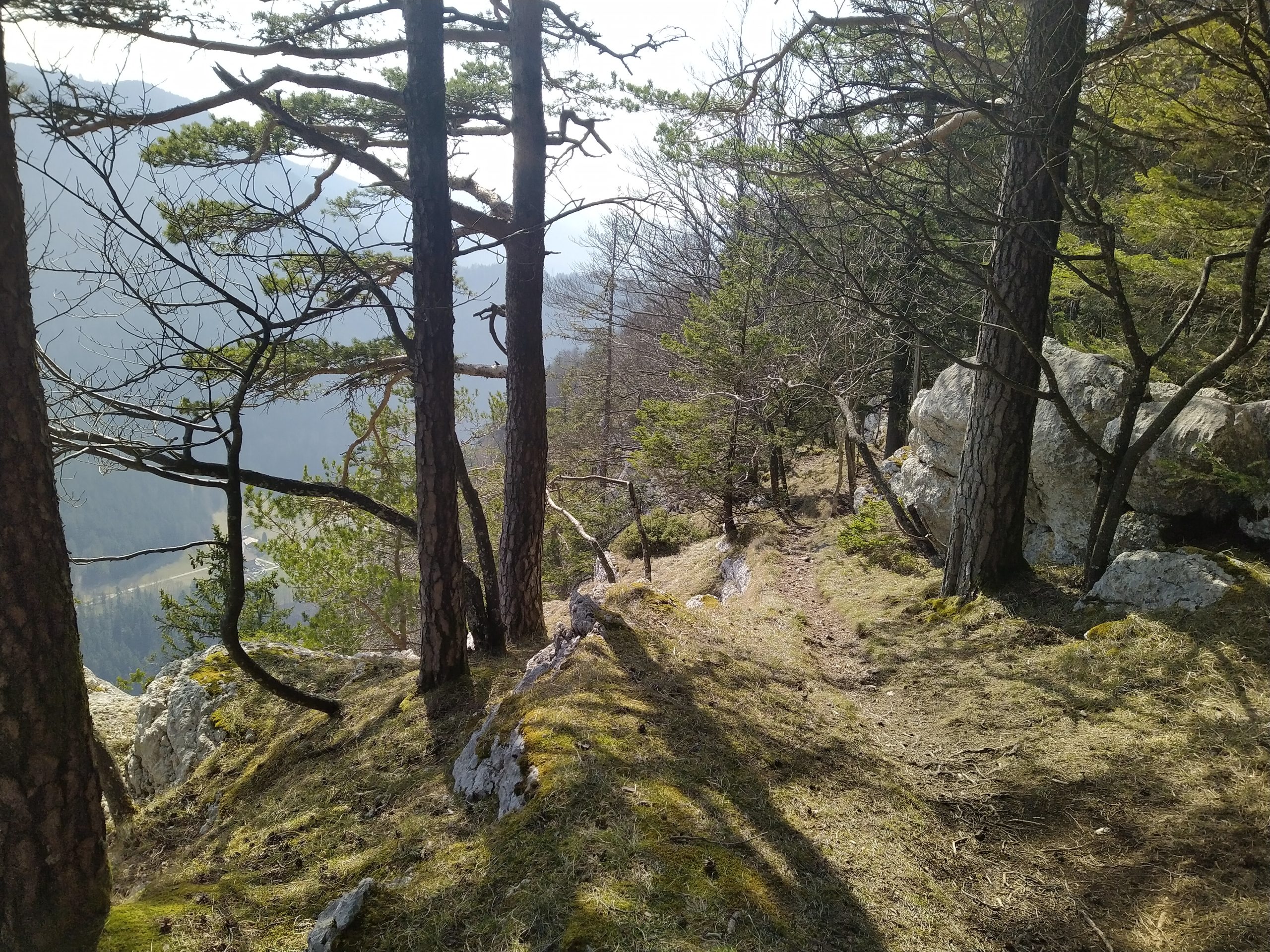 WingTsun-Running-Berglauf: Val de Ruz – Mont Racine - Noiraigue